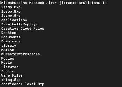 example succesful ls